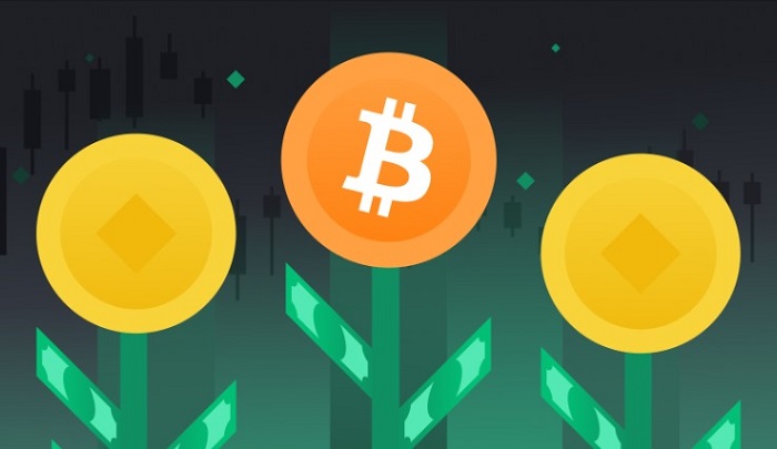 Tajne uspješnog investiranja u Bitcoin i kriptovalute